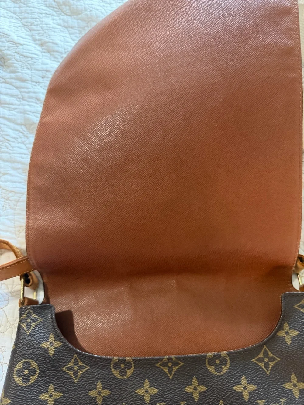 Louis Vuitton iconic louis
